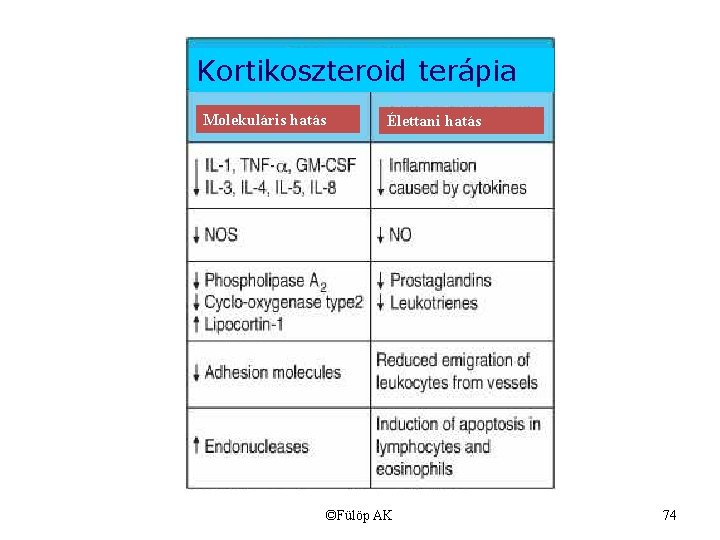 Kortikoszteroid terápia Molekuláris hatás Élettani hatás ©Fülöp AK 74 