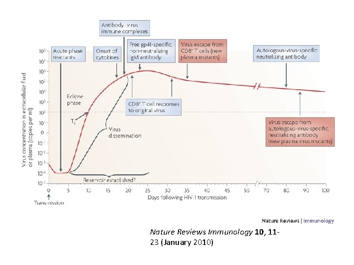 Nature Reviews Immunology 10, 1123 (January 2010) 