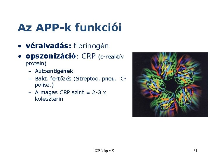 Az APP-k funkciói • véralvadás: fibrinogén • opszonizáció: CRP (c-reaktív protein) – Autoantigének –