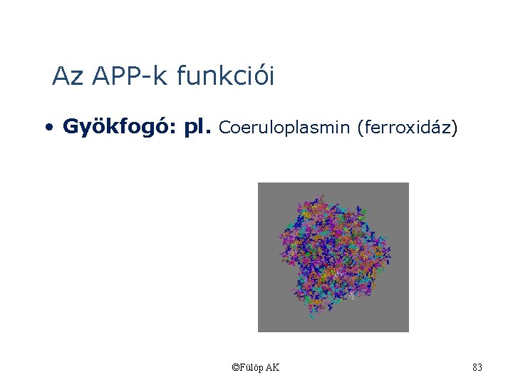 Az APP-k funkciói • Gyökfogó: pl. Coeruloplasmin (ferroxidáz) ©Fülöp AK 83 