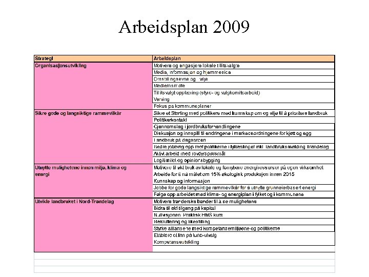Arbeidsplan 2009 