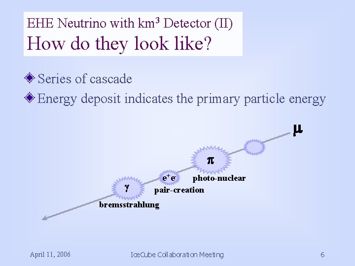 EHE Neutrino with km 3 Detector (II) How do they look like? Series of