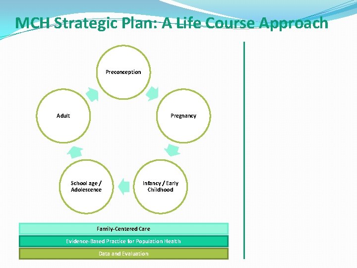 MCH Strategic Plan: A Life Course Approach Preconception Adult Pregnancy School age / Adolescence