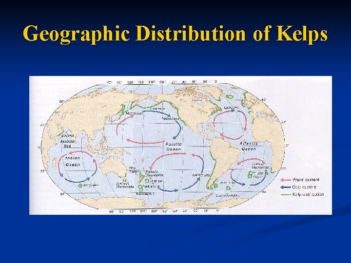 Geographic Distribution of Kelps 