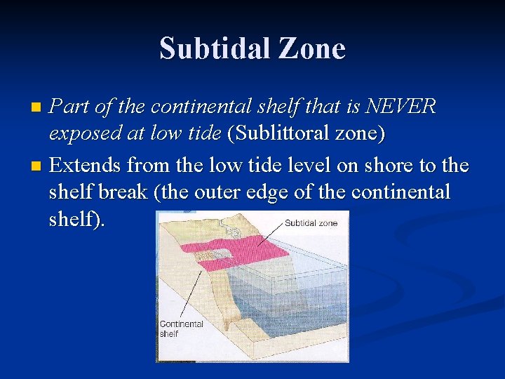 Subtidal Zone Part of the continental shelf that is NEVER exposed at low tide