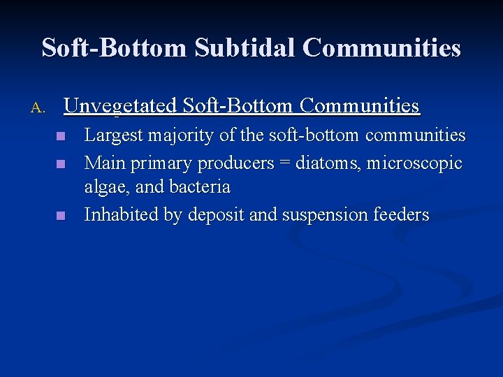 Soft-Bottom Subtidal Communities A. Unvegetated Soft-Bottom Communities n n n Largest majority of the