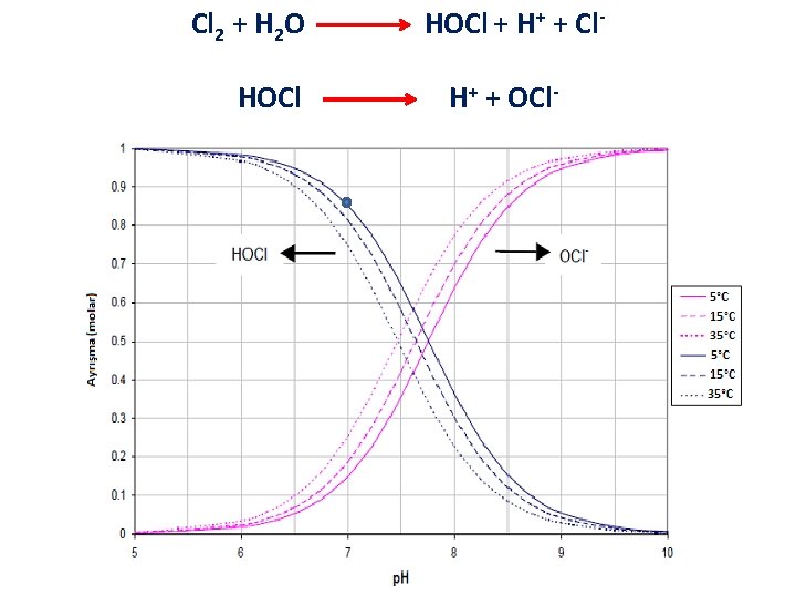 Cl 2 + H 2 O HOCl + H+ + Cl. H+ + OCl-