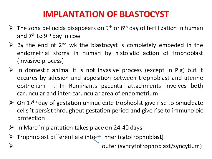 IMPLANTATION OF BLASTOCYST Ø The zona pellucida disappears on 5 th or 6 th
