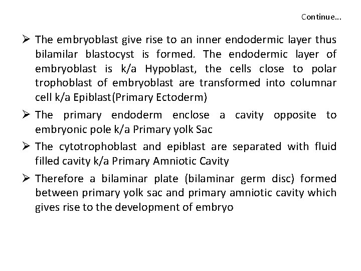 Continue. . . Ø The embryoblast give rise to an inner endodermic layer thus