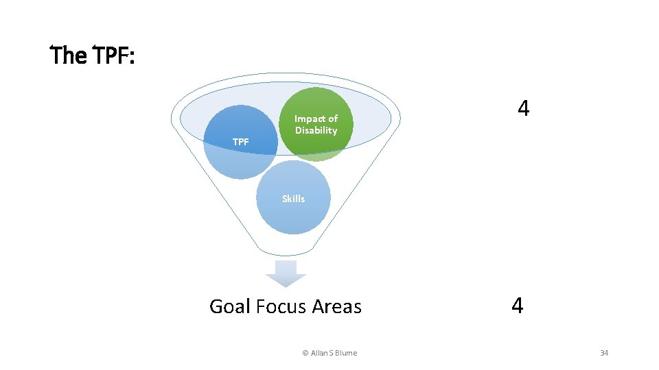 The TPF: TPF Impact of Disability 4 Skills Goal Focus Areas © Allan S