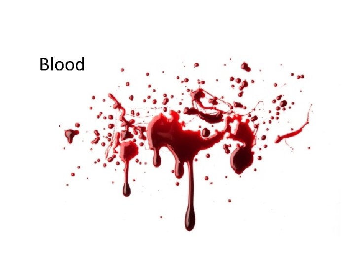 Blood 