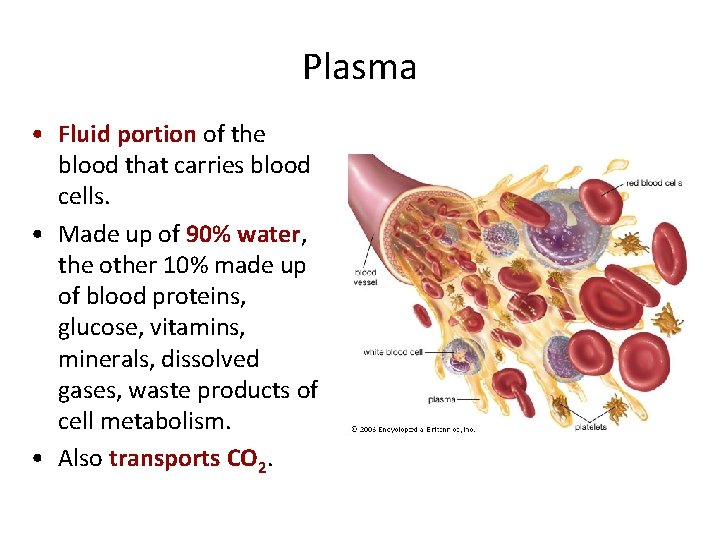 Plasma • Fluid portion of the blood that carries blood cells. • Made up