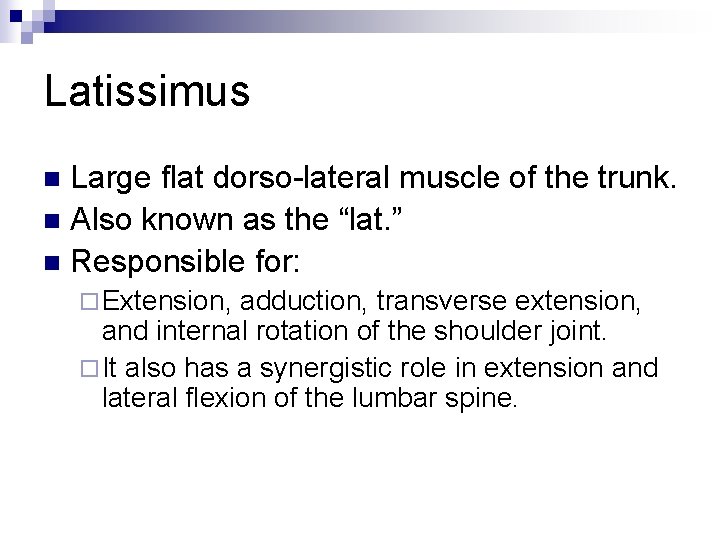 Latissimus Large flat dorso-lateral muscle of the trunk. n Also known as the “lat.