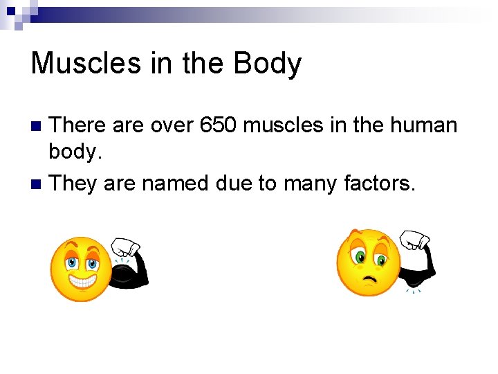 Muscles in the Body There are over 650 muscles in the human body. n