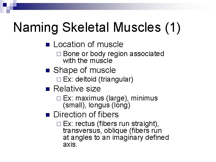 Naming Skeletal Muscles (1) n Location of muscle ¨ Bone or body region associated