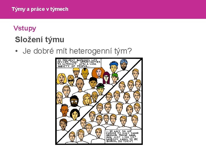 Týmy a práce v týmech Vstupy Složení týmu • Je dobré mít heterogenní tým?