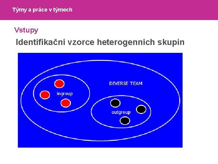 Týmy a práce v týmech Vstupy Identifikační vzorce heterogenních skupin 