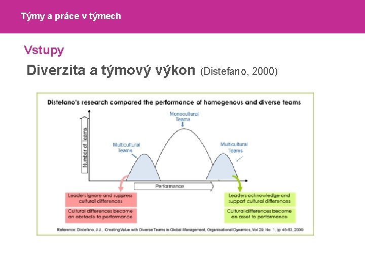 Týmy a práce v týmech Vstupy Diverzita a týmový výkon (Distefano, 2000) 