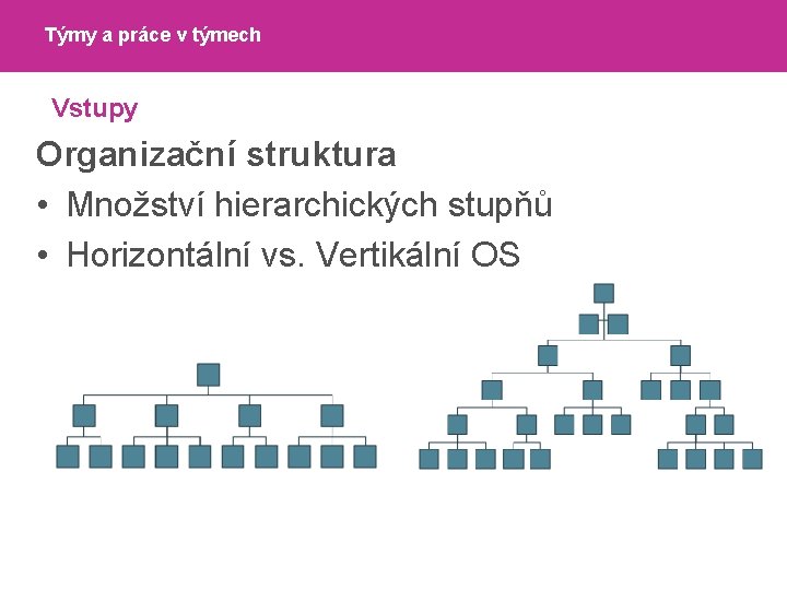 Týmy a práce v týmech Vstupy Organizační struktura • Množství hierarchických stupňů • Horizontální