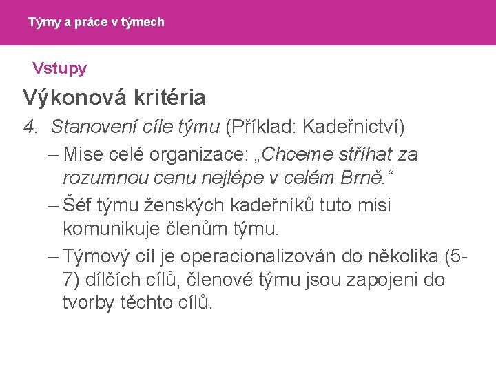 Týmy a práce v týmech Vstupy Výkonová kritéria 4. Stanovení cíle týmu (Příklad: Kadeřnictví)