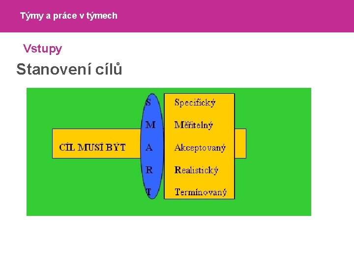 Týmy a práce v týmech Vstupy Stanovení cílů 