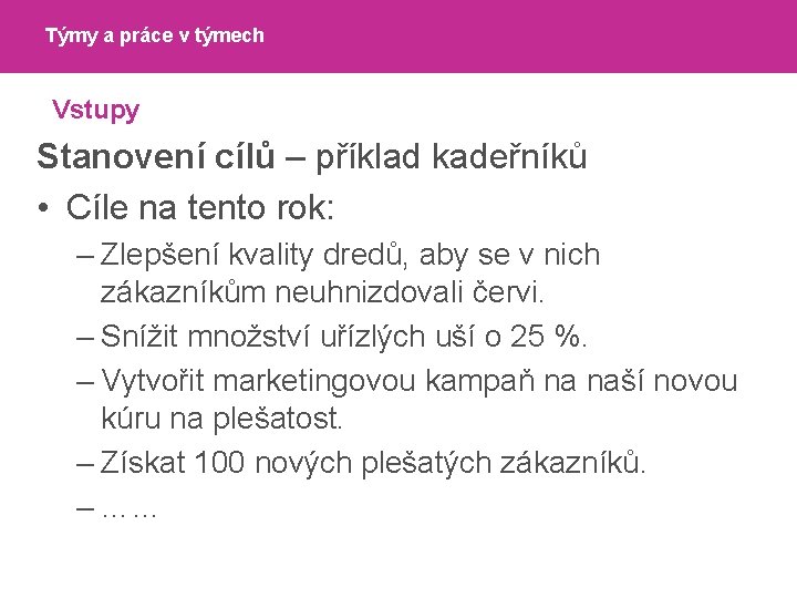 Týmy a práce v týmech Vstupy Stanovení cílů – příklad kadeřníků • Cíle na