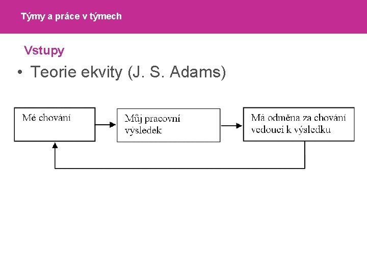 Týmy a práce v týmech Vstupy • Teorie ekvity (J. S. Adams) 