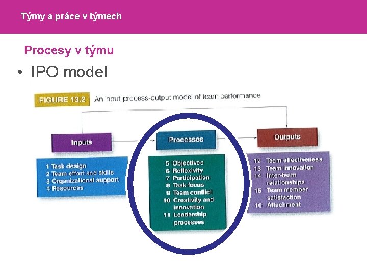 Týmy a práce v týmech Procesy v týmu • IPO model 