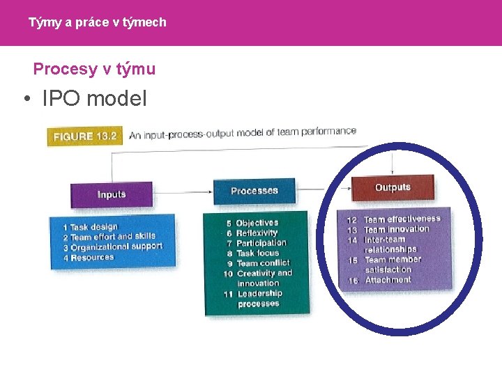 Týmy a práce v týmech Procesy v týmu • IPO model 