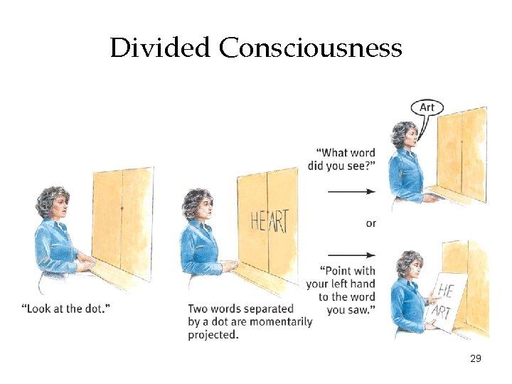 Divided Consciousness 29 
