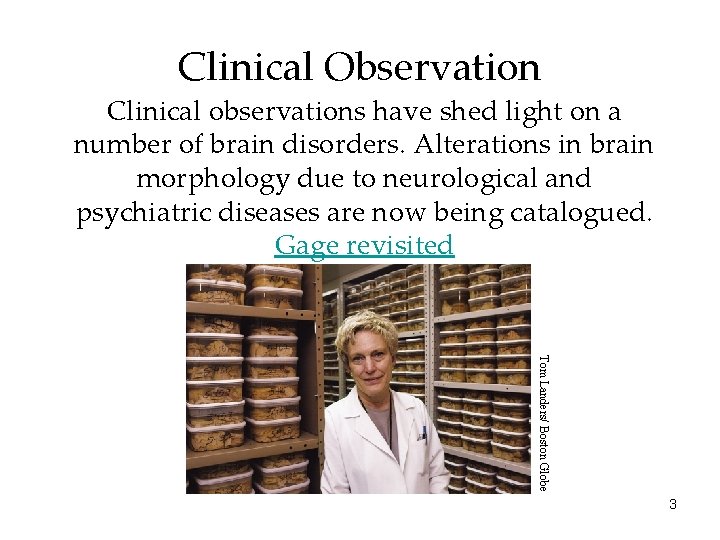 Clinical Observation Clinical observations have shed light on a number of brain disorders. Alterations