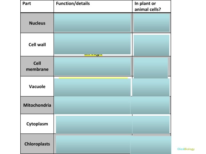 Click. Biology 