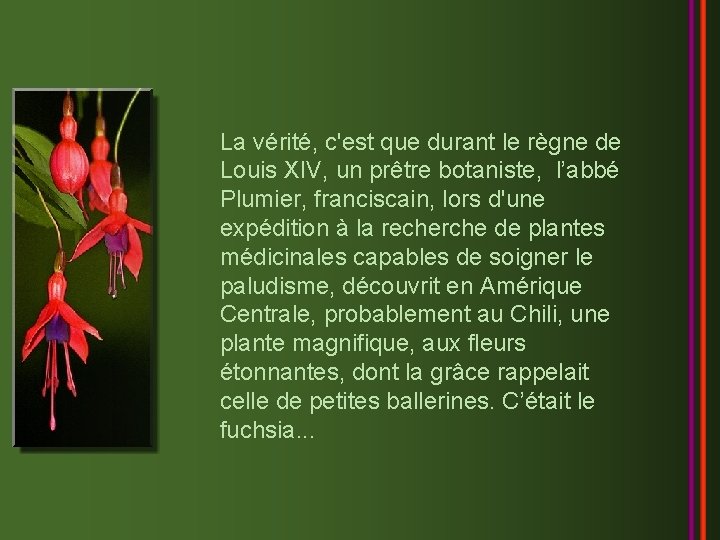 La vérité, c'est que durant le règne de Louis XIV, un prêtre botaniste, l’abbé