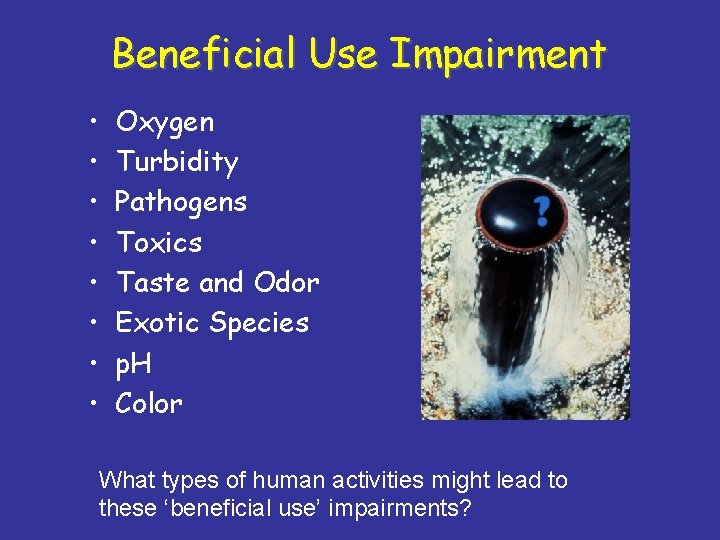 Beneficial Use Impairment • • Oxygen Turbidity Pathogens Toxics Taste and Odor Exotic Species