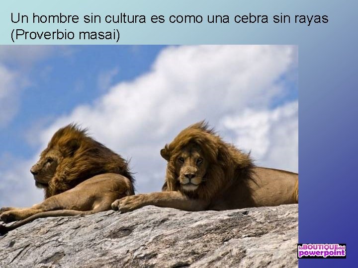 Un hombre sin cultura es como una cebra sin rayas (Proverbio masai) 