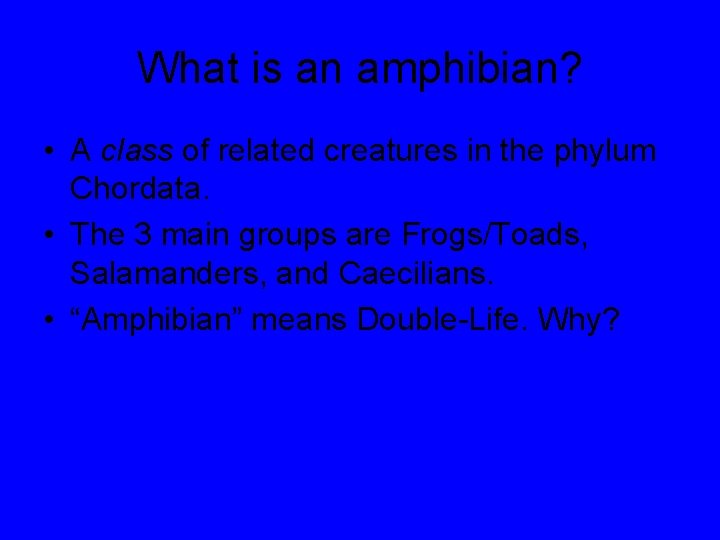 What is an amphibian? • A class of related creatures in the phylum Chordata.