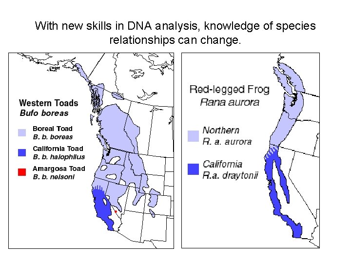 With new skills in DNA analysis, knowledge of species relationships can change. 