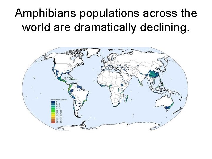 Amphibians populations across the world are dramatically declining. 