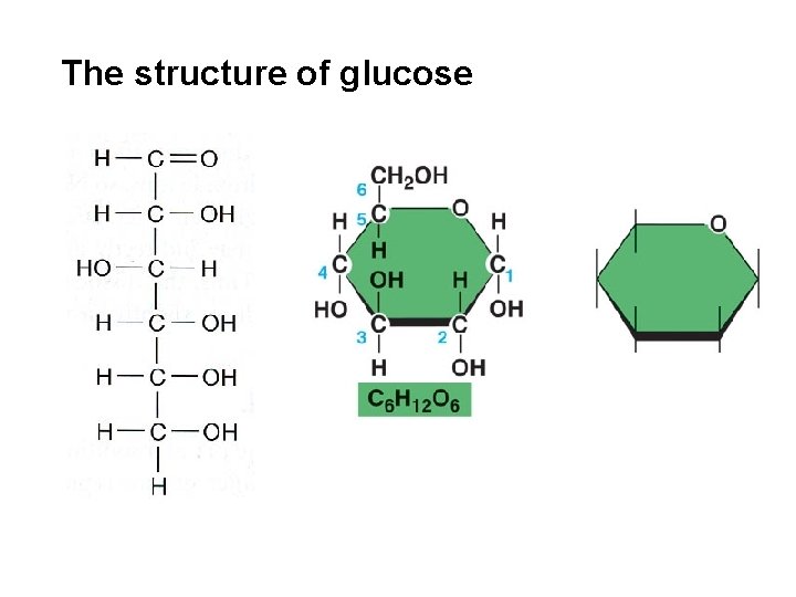The structure of glucose 