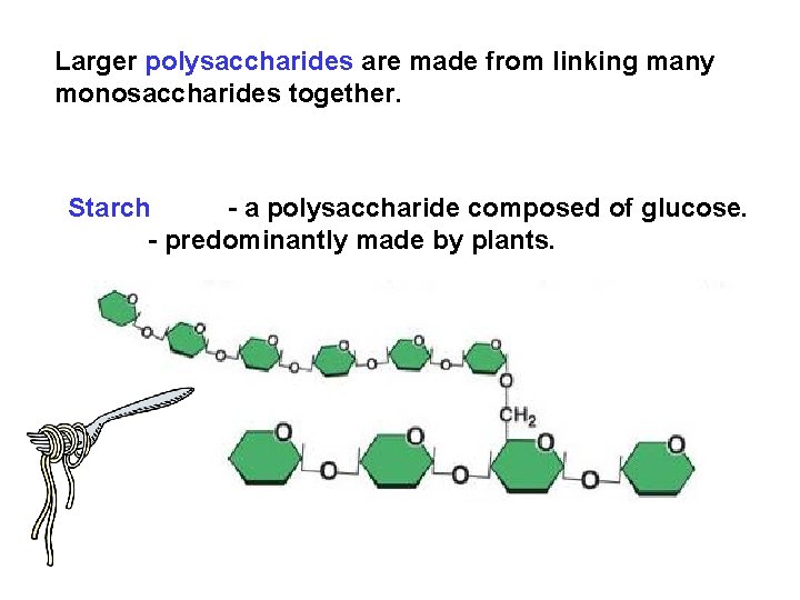Larger polysaccharides are made from linking many monosaccharides together. Starch - a polysaccharide composed