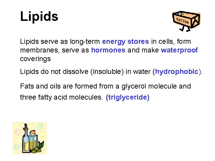 Lipids serve as long-term energy stores in cells, form membranes, serve as hormones and