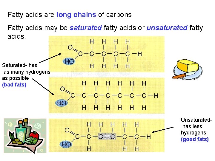Fatty acids are long chains of carbons Fatty acids may be saturated fatty acids