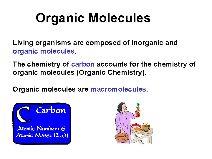 Organic Molecules Living organisms are composed of inorganic and organic molecules. The chemistry of