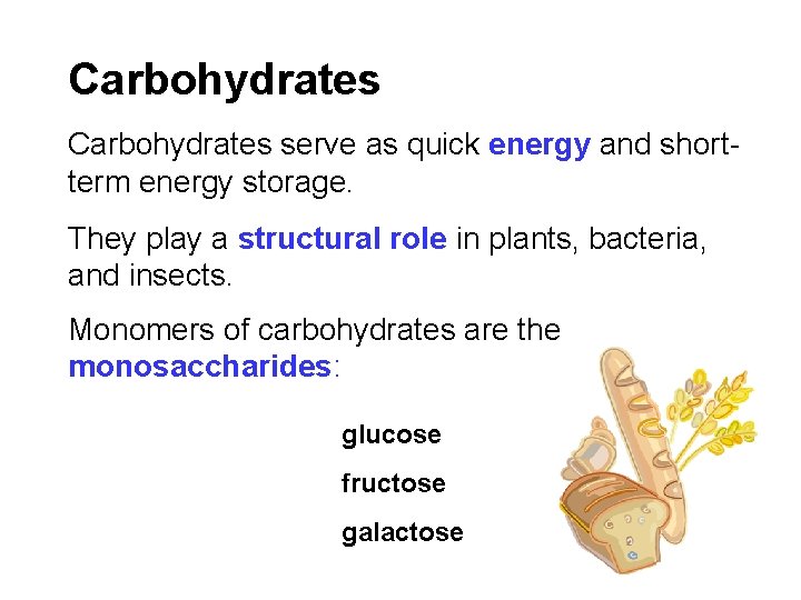 Carbohydrates serve as quick energy and shortterm energy storage. They play a structural role