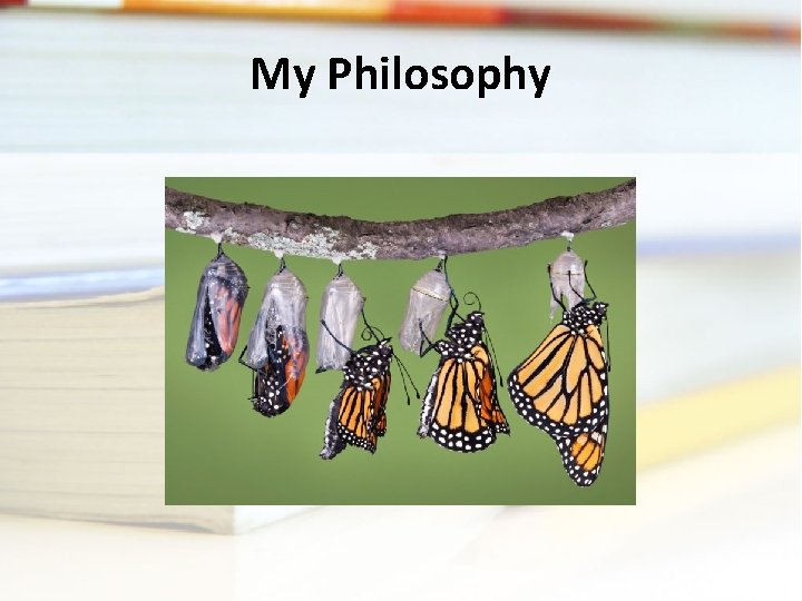 My Philosophy My Philosophy