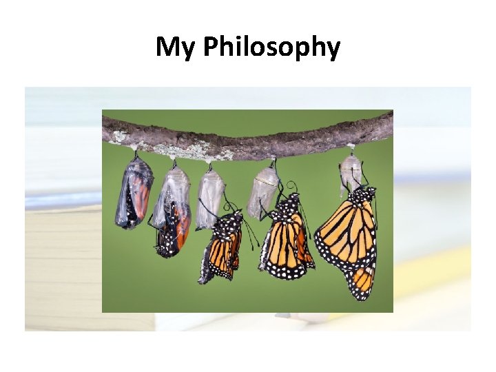 My Philosophy My Philosophy