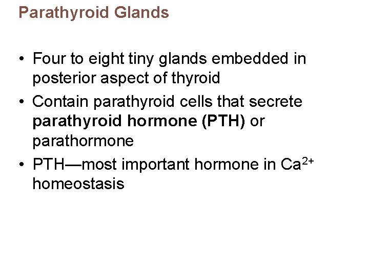 Parathyroid Glands • Four to eight tiny glands embedded in posterior aspect of thyroid