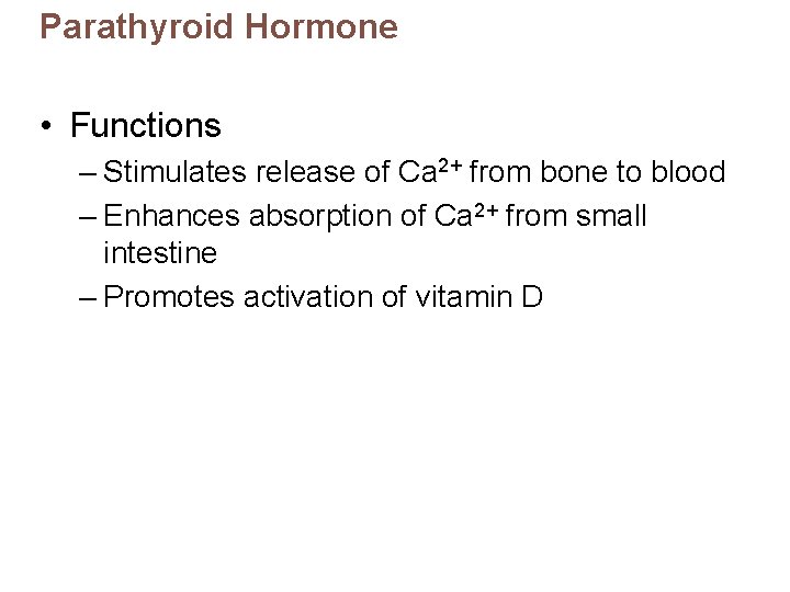 Parathyroid Hormone • Functions – Stimulates release of Ca 2+ from bone to blood