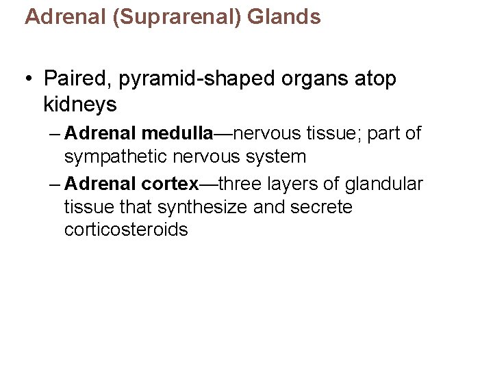 Adrenal (Suprarenal) Glands • Paired, pyramid-shaped organs atop kidneys – Adrenal medulla—nervous tissue; part