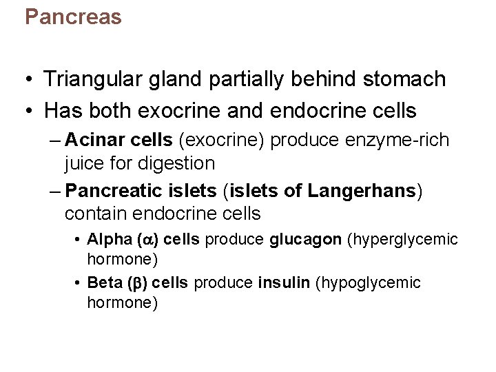 Pancreas • Triangular gland partially behind stomach • Has both exocrine and endocrine cells